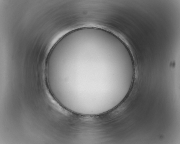 X0000113641048200909181324