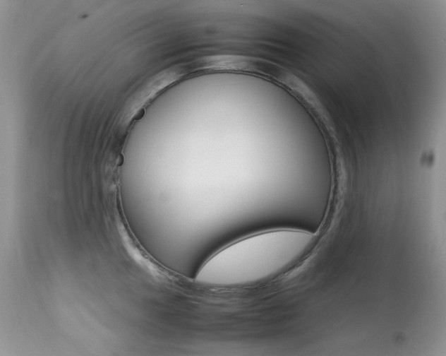 X0000113641049200909181324