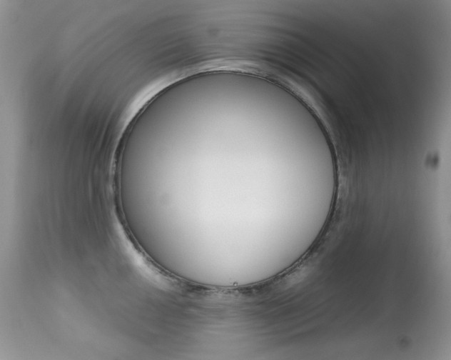 X0000113641050200909181324