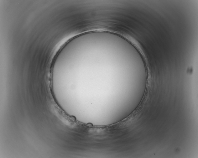 X0000113641051200909181324