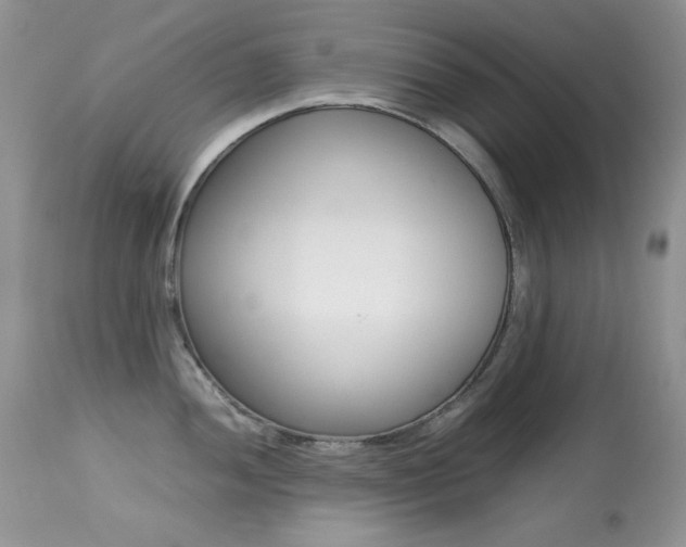 X0000113641052200909181324
