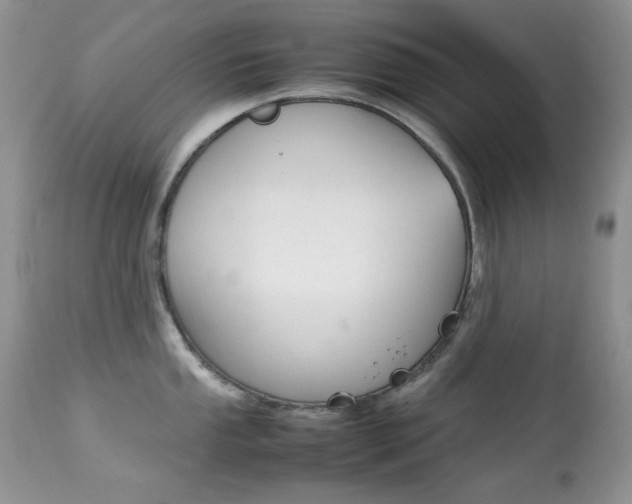 X0000113641053200909181324
