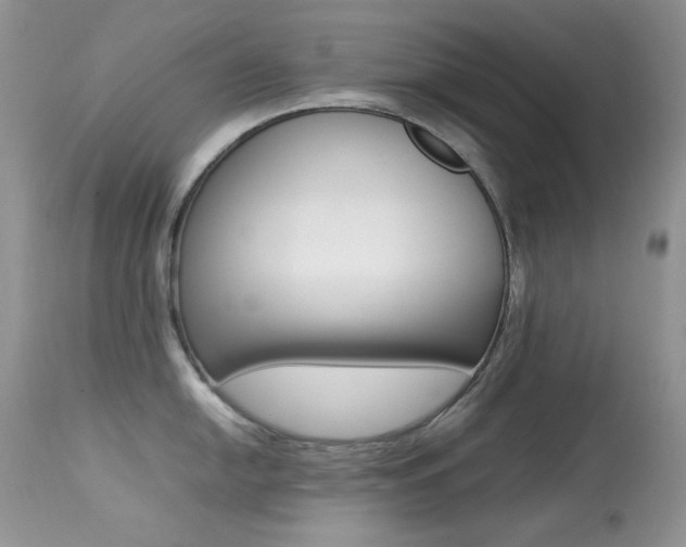 X0000113641054200909181324