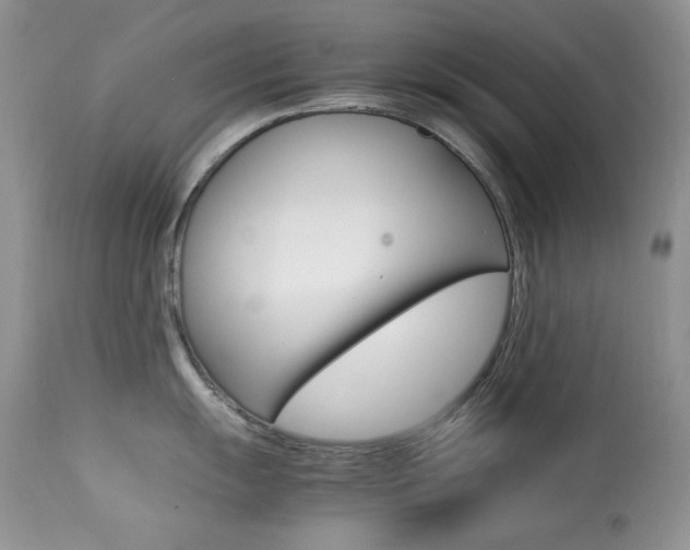 X0000113641055200909181325