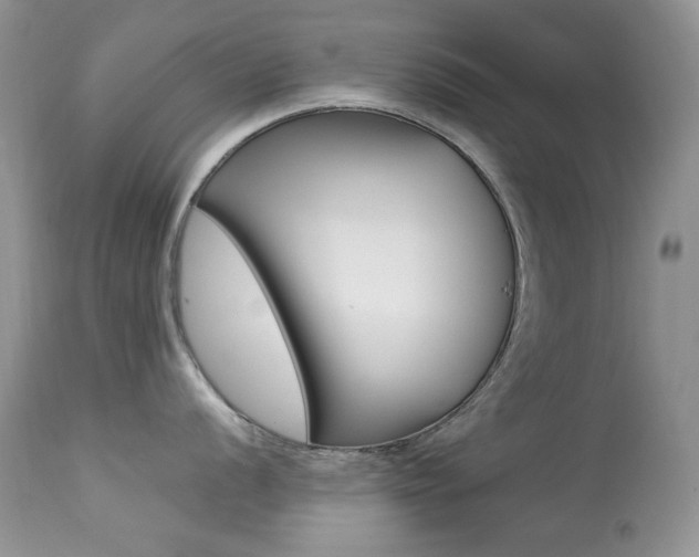 X0000113641056200909181325