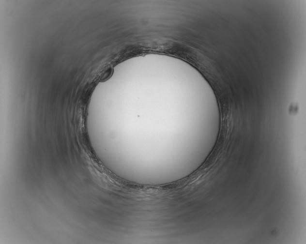 X0000113641058200909181324