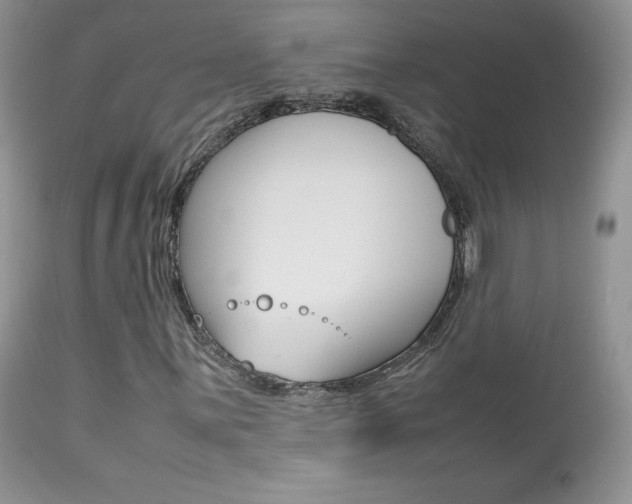 X0000113641059200909181324