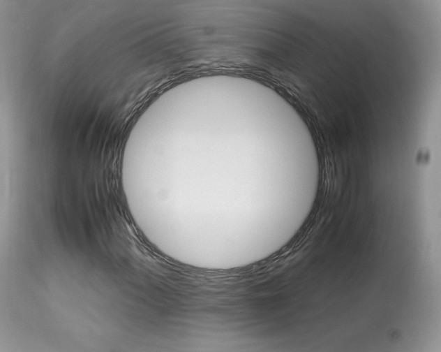 X0000113641060200909181324