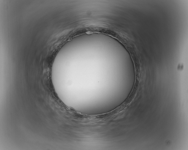 X0000113641061200909181324
