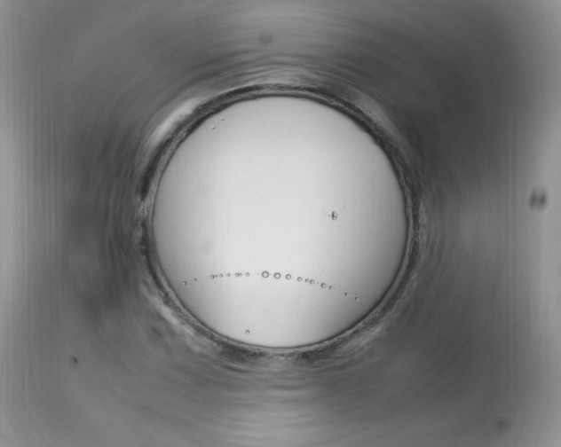 X0000113641067200909181323