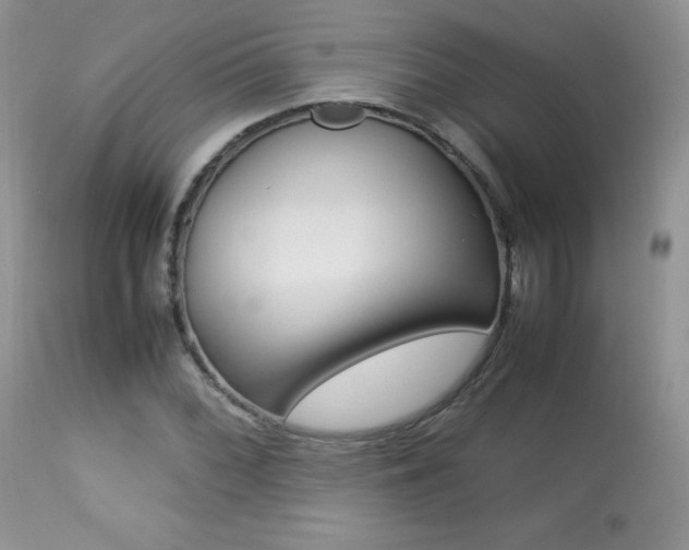 X0000113641068200909181323