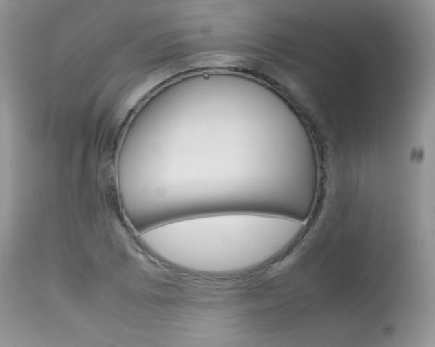 X0000113641073200909181323