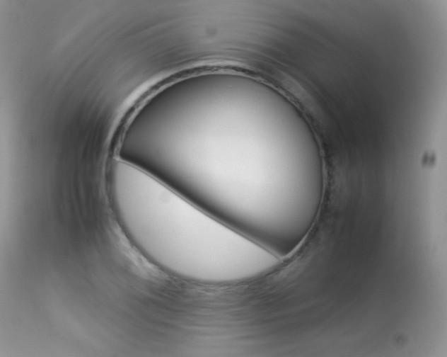 X0000113641076200909181323
