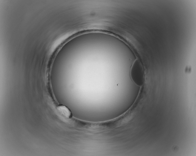 X0000113641077200909181323