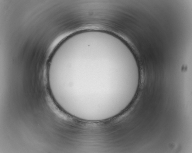 X0000113641078200909181323