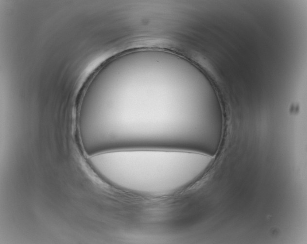 X0000113641079200909181323