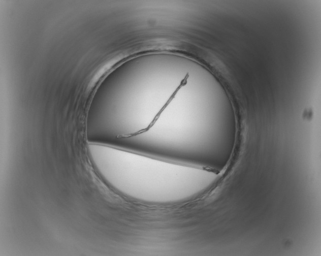 X0000113641081200909181323