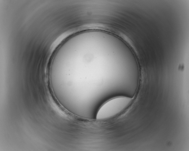 X0000113641082200909181323