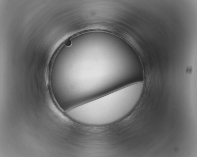 X0000113641084200909181323