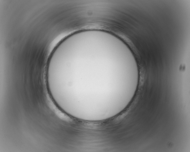 X0000113641086200909181323