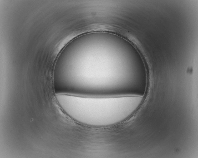 X0000113641089200909181323