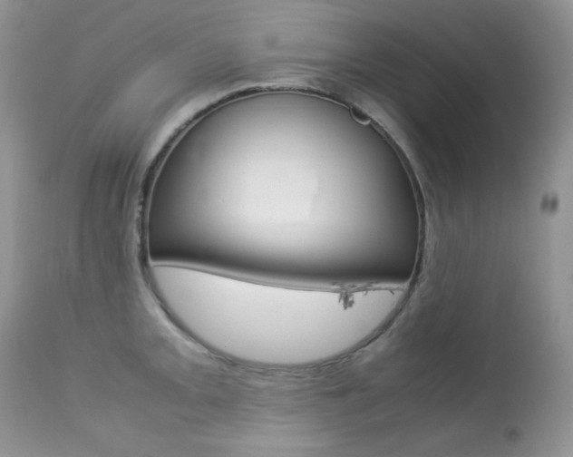 X0000113641093200909181323