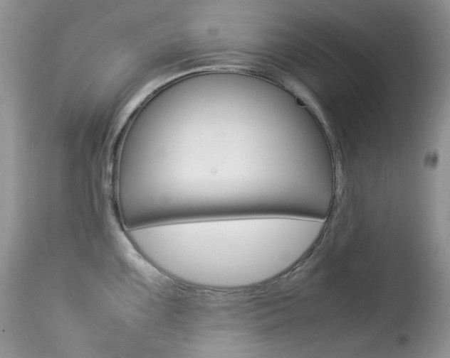 X0000113641099200909181323