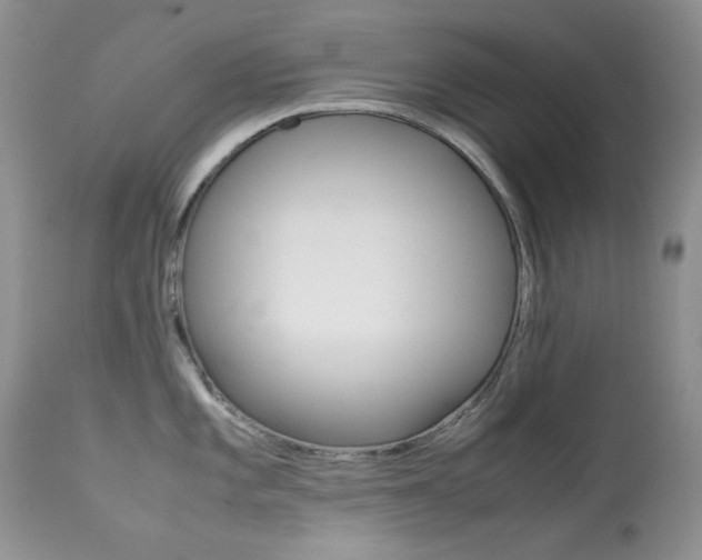 X0000113641101200909181323