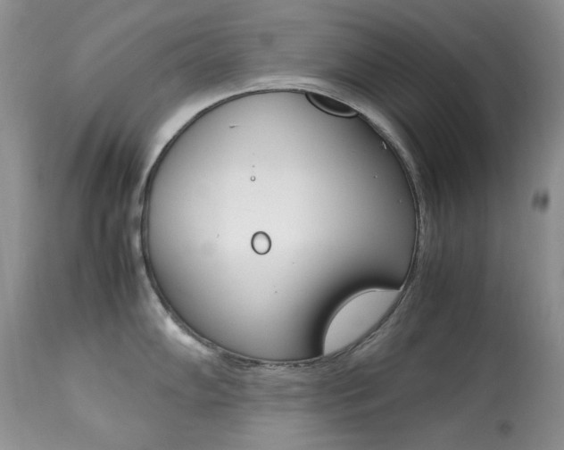 X0000113641102200909181323