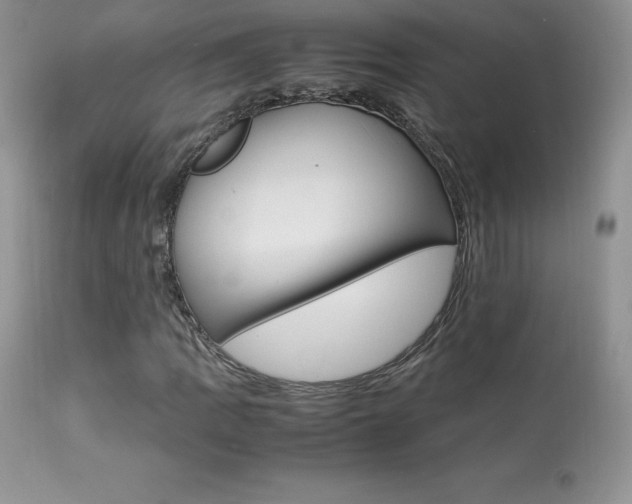 X0000113641109200909181322