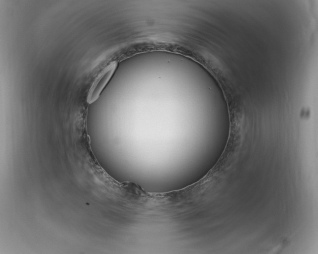 X0000113641110200909181322