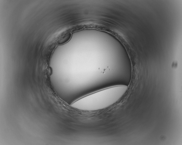 X0000113641111200909181322