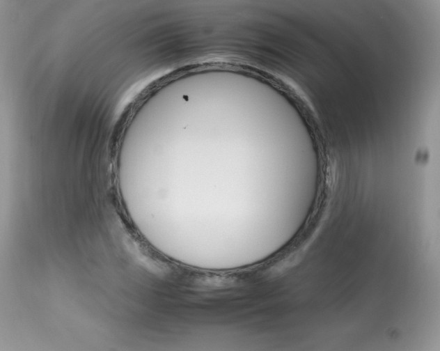 X0000113641117200909181322