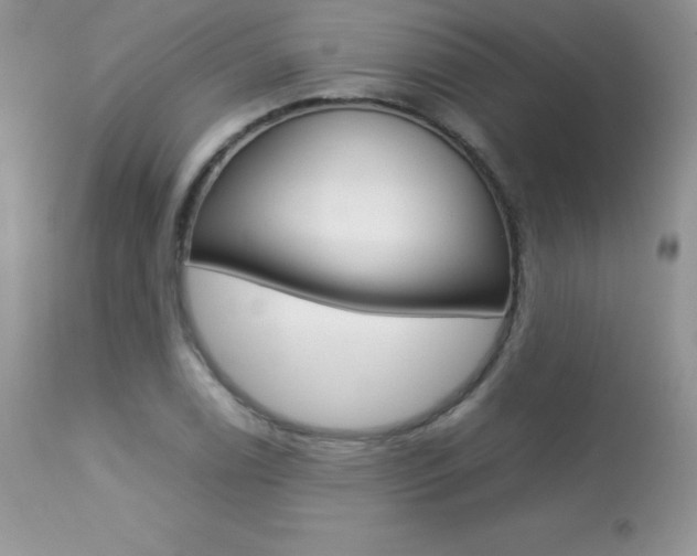 X0000113641122200909181323