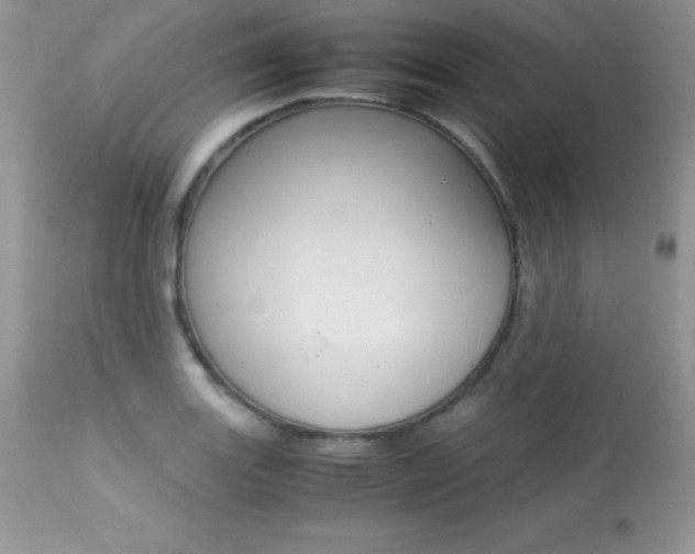 X0000113641131200909181323