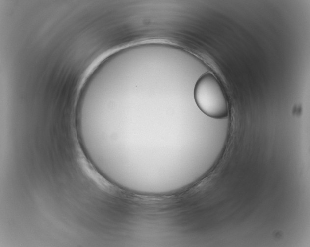 X0000113641132200909181323