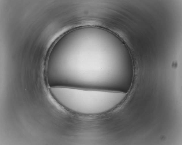 X0000113641134200909181323
