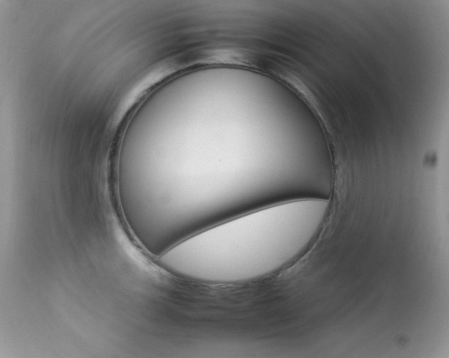 X0000113641139200909181323