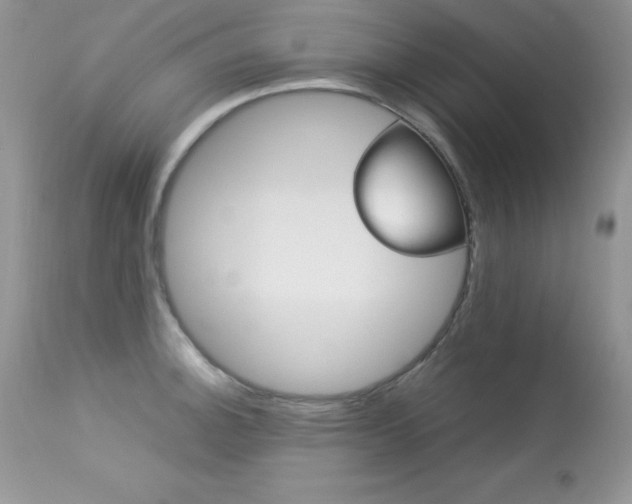 X0000113641140200909181323