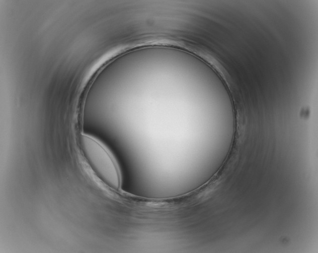 X0000113641142200909181323