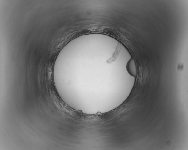 X0000113641154200909181322