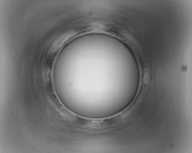X0000113641161200909181322