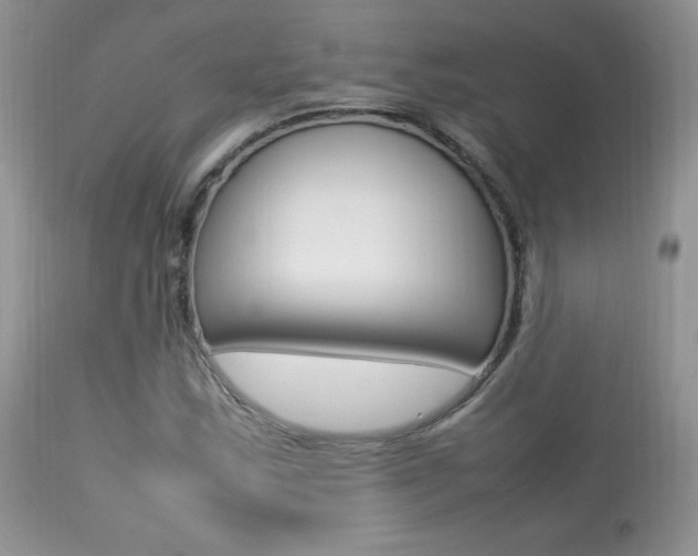 X0000113641163200909181322