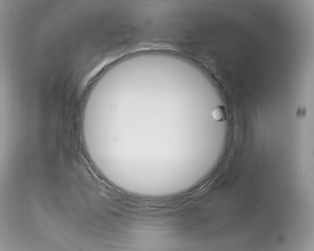 X0000113641165200909181322