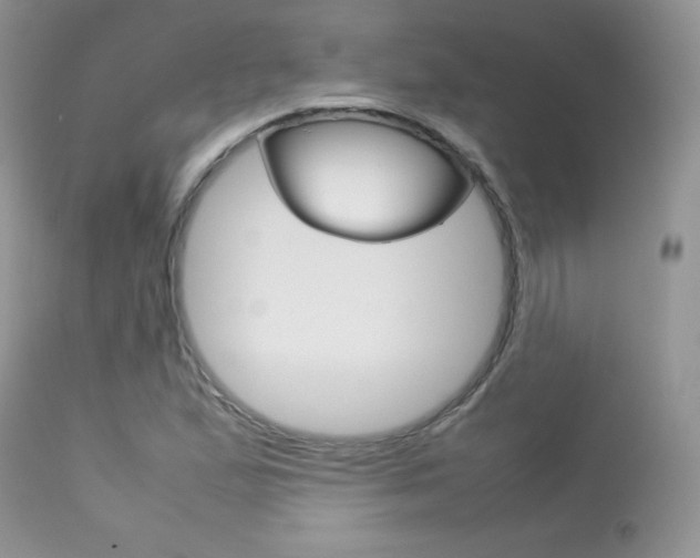 X0000113641167200909181322