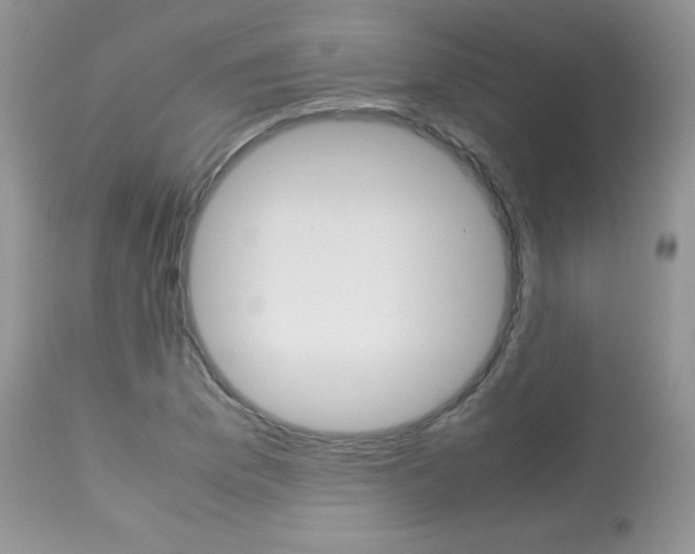 X0000113641169200909181322