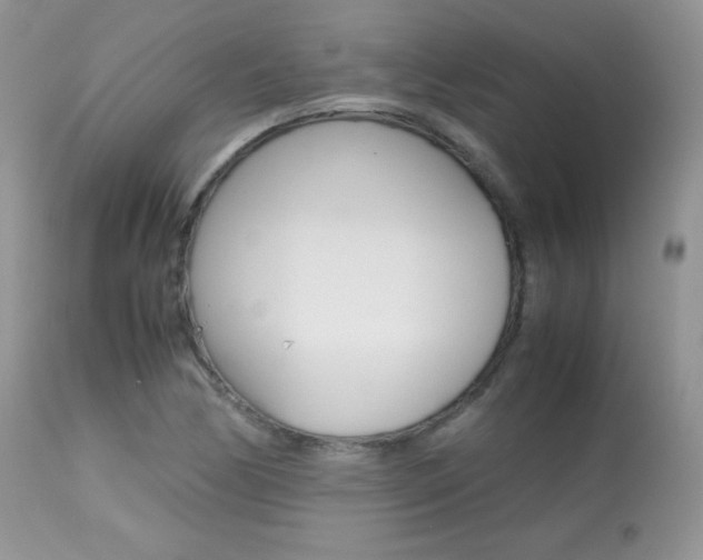 X0000113641170200909181322