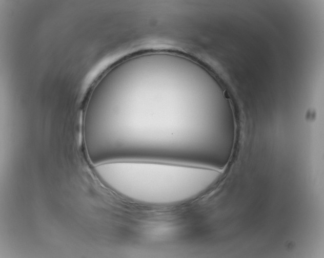 X0000113641175200909181322