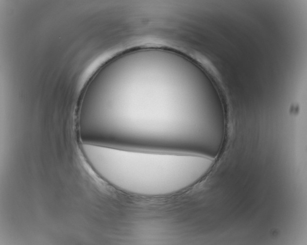 X0000113641183200909181322