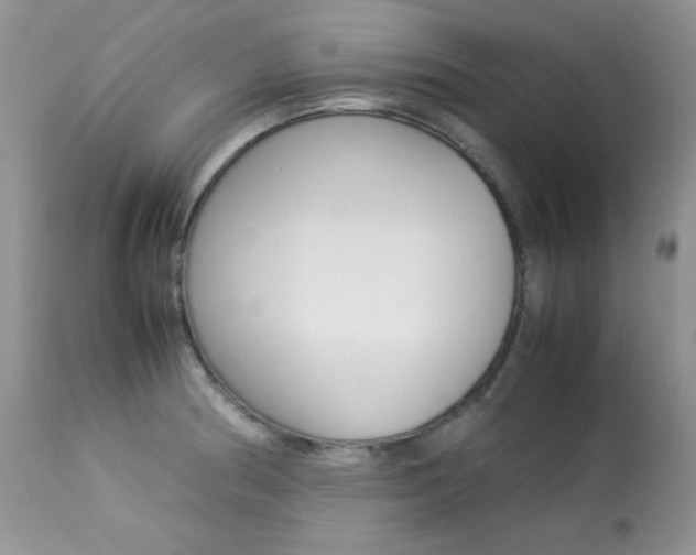 X0000113641186200909181322